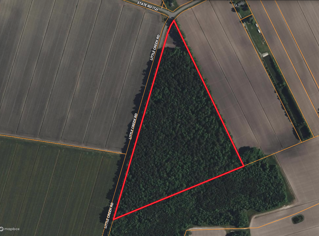25 Acres Timber & Hunting Land for Sale in NC